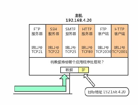 软件测试中的网络问题